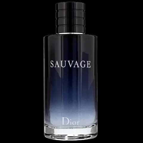 Perfume Sauvage Masculino Eau de Parfum 100ml